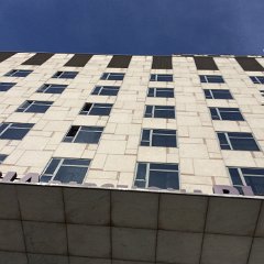 IMG 256
